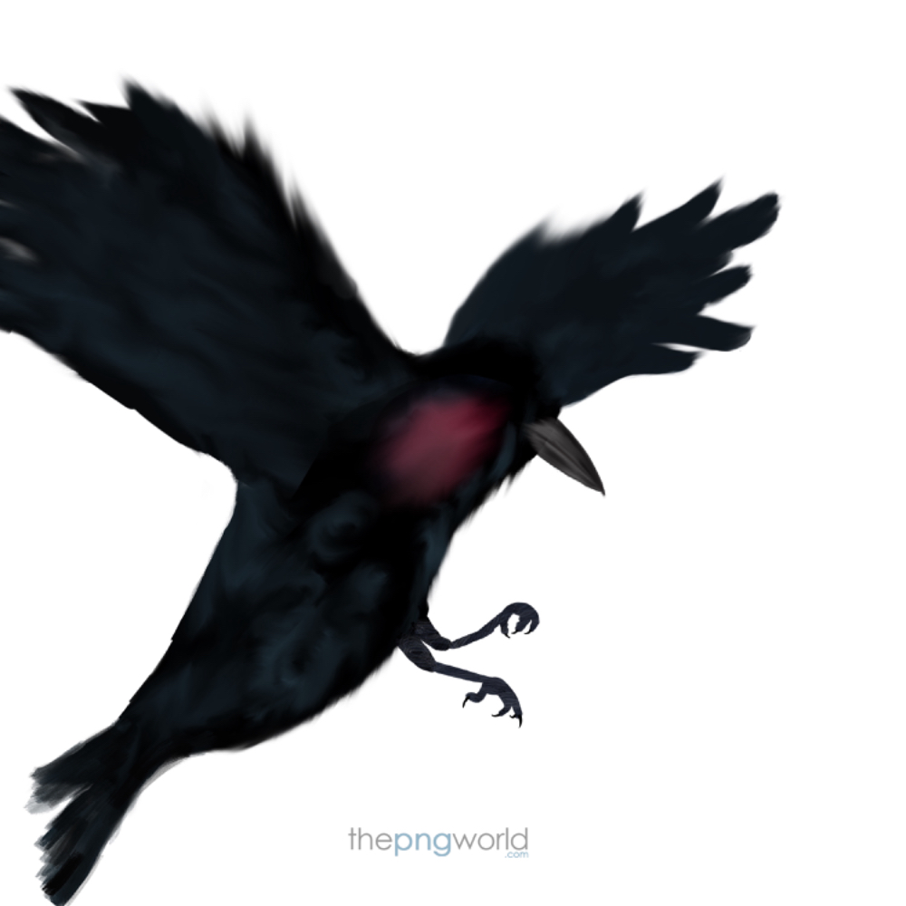 Navy Blue Handmade Raven Raven,crow,black,bird,blue,animal,fly,sketch,handmade,flight,wings,illustration,graphic art,spread wings,flying bird